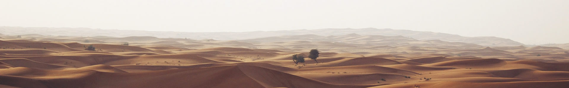 оԴƼ޹˾